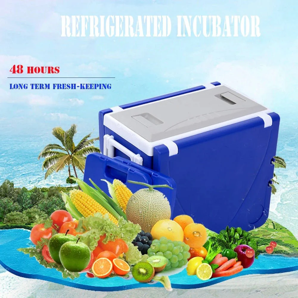28L Two-Chair Plastic Incubator With Desk And Chair Picnic Table with food incubator storage Blue - Image 6