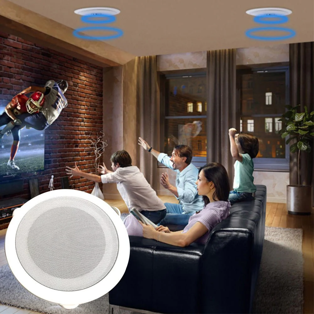 605A Stereo Ceiling Speaker - Image 4