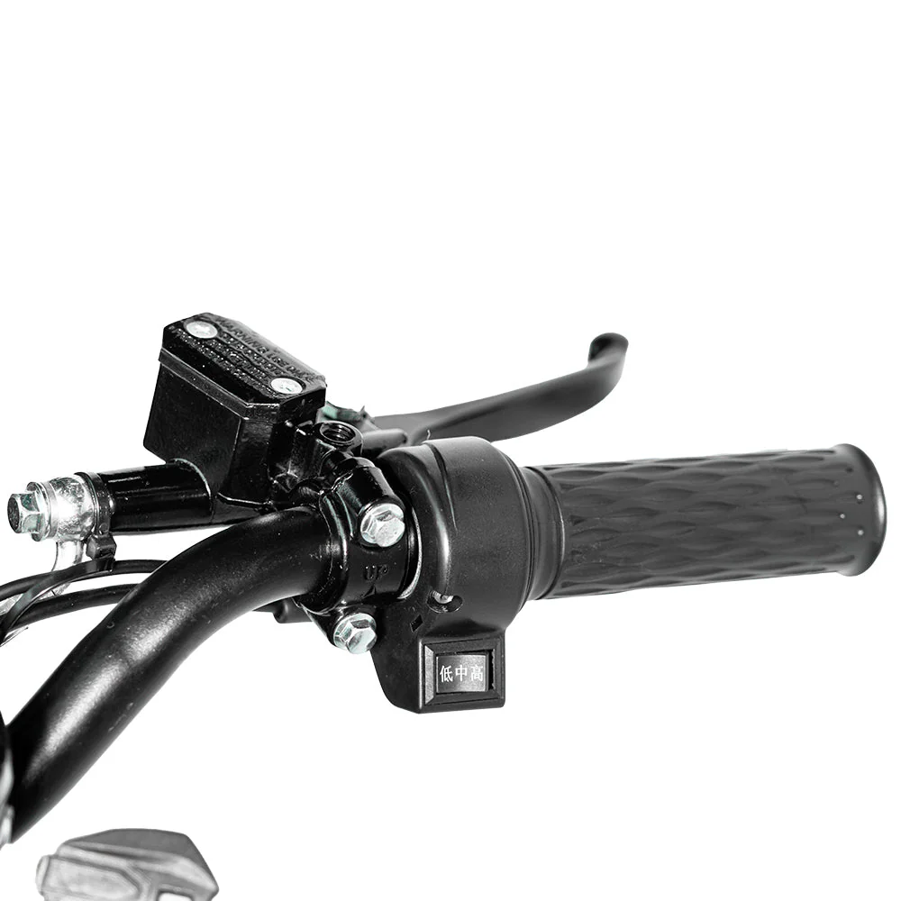 CRONY 18inch Take-out electric bicycle BIKE Fast food delivery electric bike - Image 19