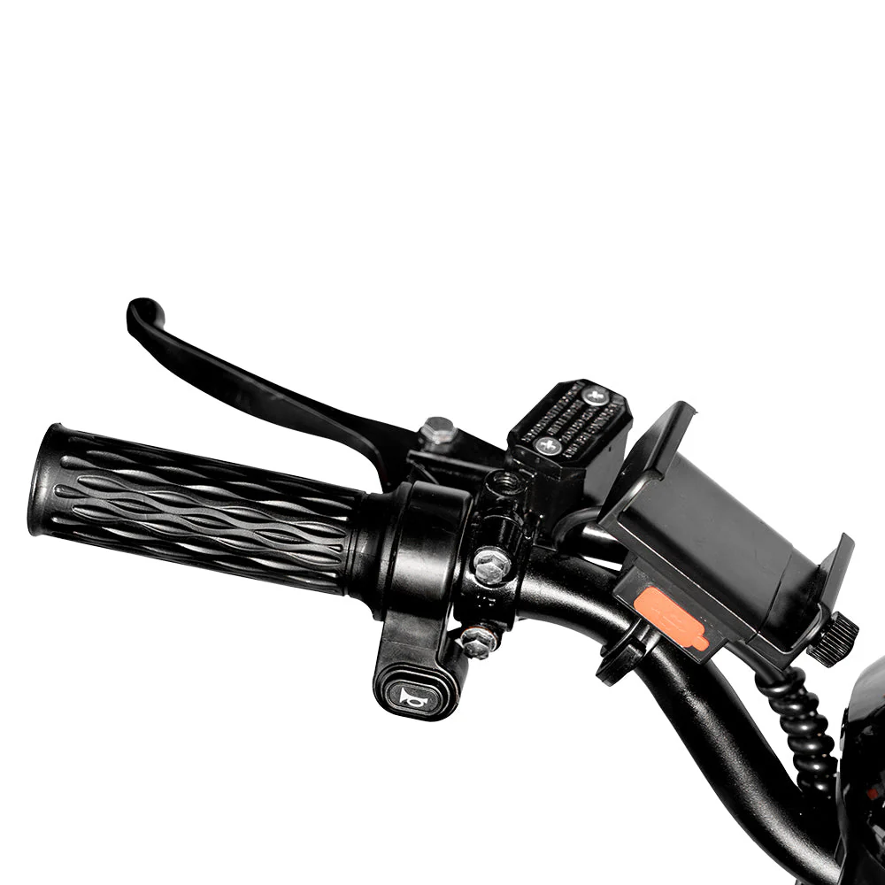 CRONY 18inch Take-out electric bicycle BIKE Fast food delivery electric bike - Image 20