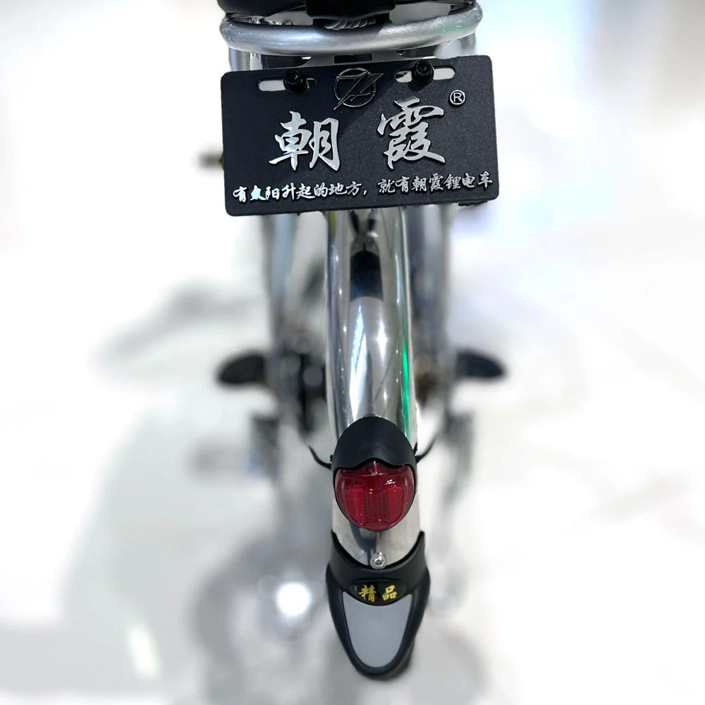 CRONY 20 Inch Ilan Princess Electric Car 350w 48v mid drive city electric bike removable lithium battery bicycle - Image 16