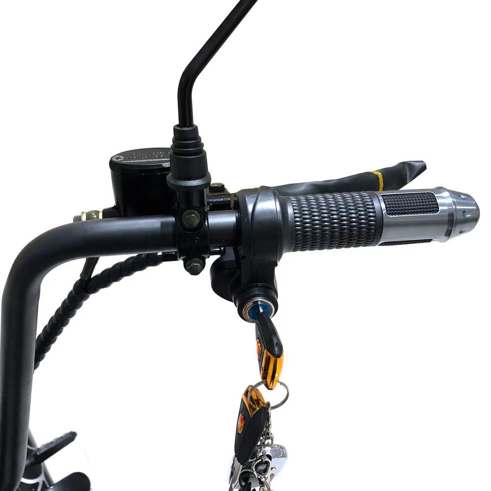 CRONY X3 BIG HARLEY+LI-ion battery+BT+double seat Electric motorcycle - Image 8