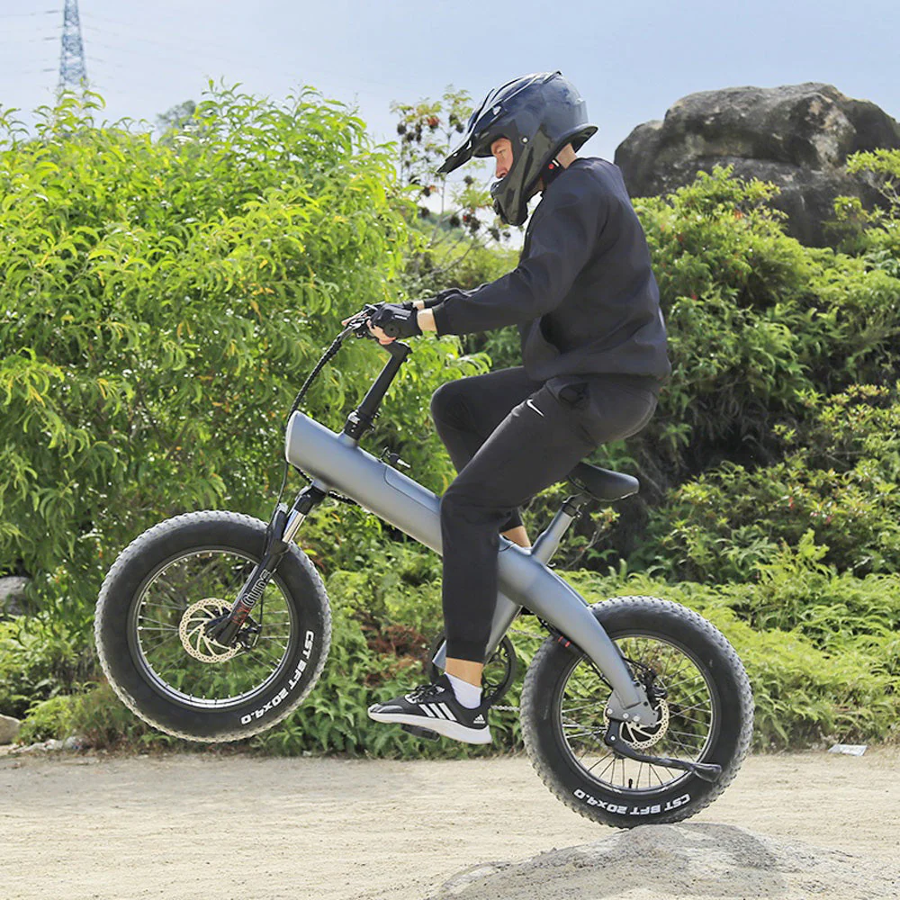 CRONY Q3 Off-road fat tire 48V/750W aluminum alloy E-bike 20 inch fat tire off road bicy Scootercle electric bike Scooter - Image 20