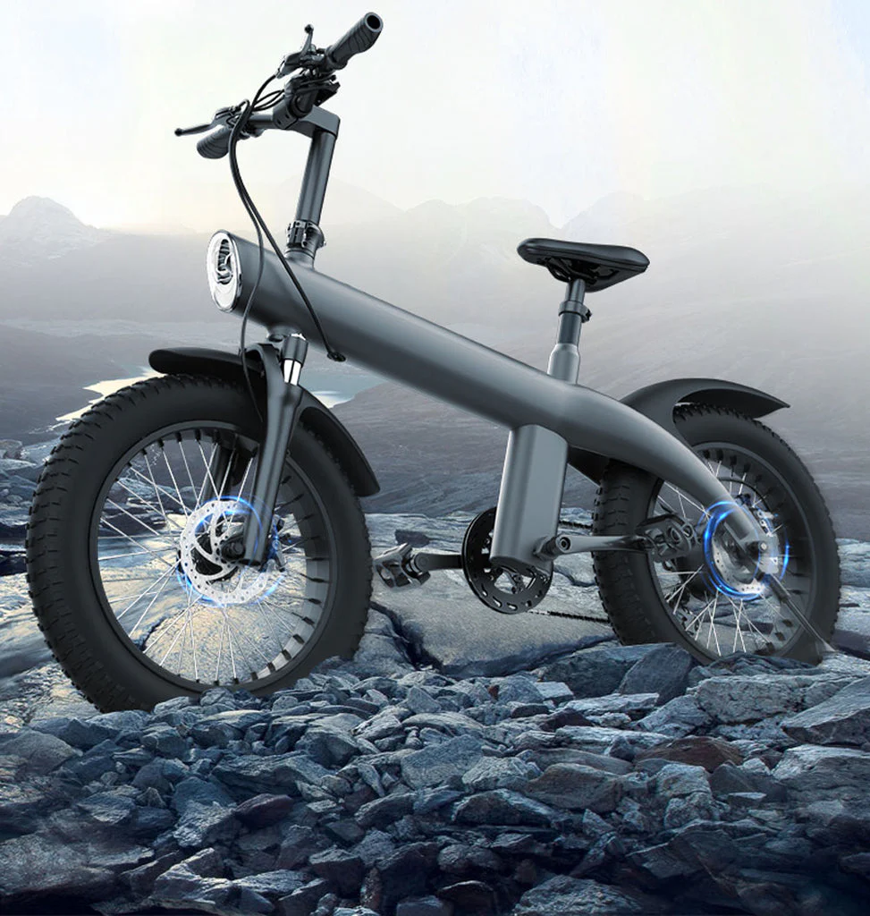 CRONY Q3 Off-road fat tire 48V/750W aluminum alloy E-bike 20 inch fat tire off road bicy Scootercle electric bike Scooter - Image 21