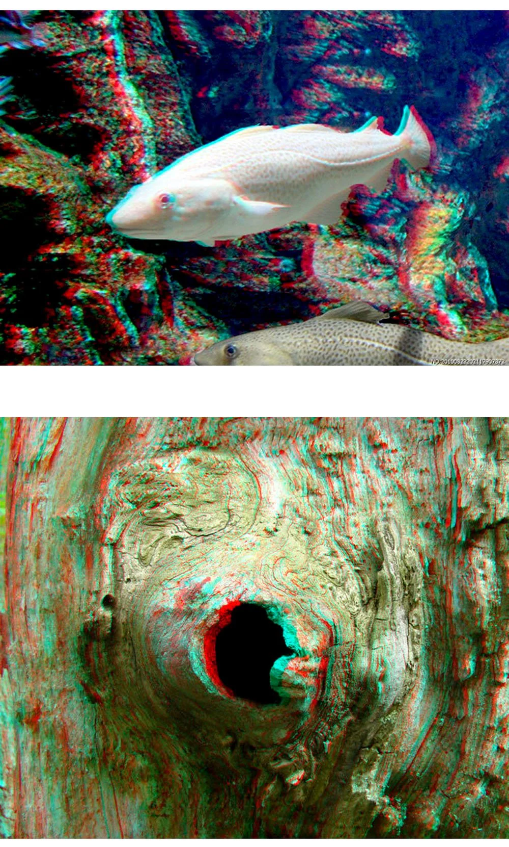 CRONY Red and blue master image lovely animal virtual reality 3d movies vr glasses 3D glasses For the projector - Image 4