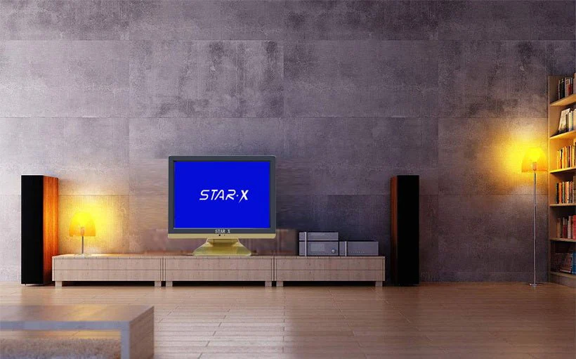 CRONY STAR.X  AC/DC 12V H8 19 inch LED display monitor - Image 6