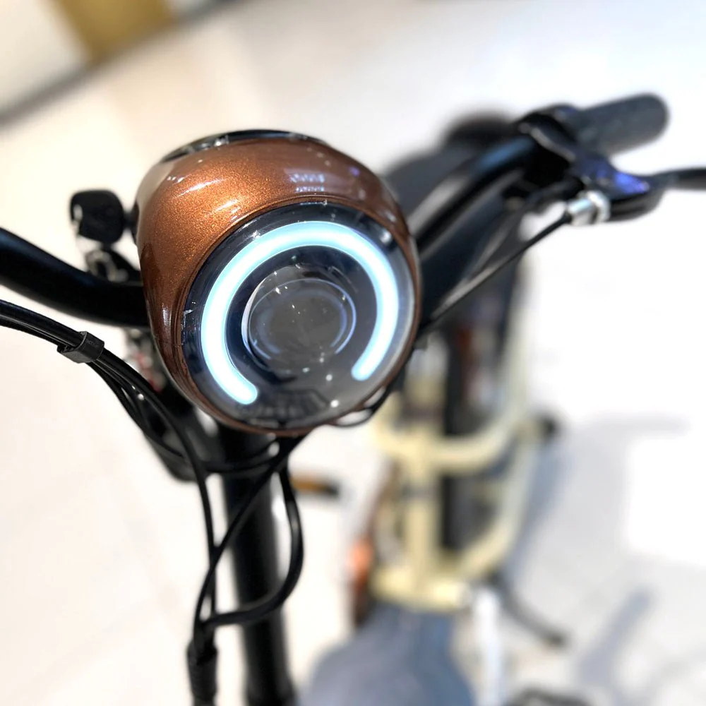 CRONY T8 Electric Delivery express Bicycle electrical scooter 12 inch 48v 10Ah electric bike - Image 22