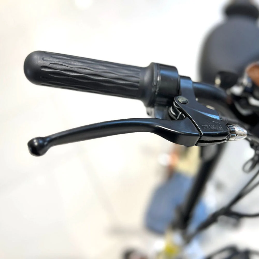 CRONY T8 Electric Delivery express Bicycle electrical scooter 12 inch 48v 10Ah electric bike - Image 23
