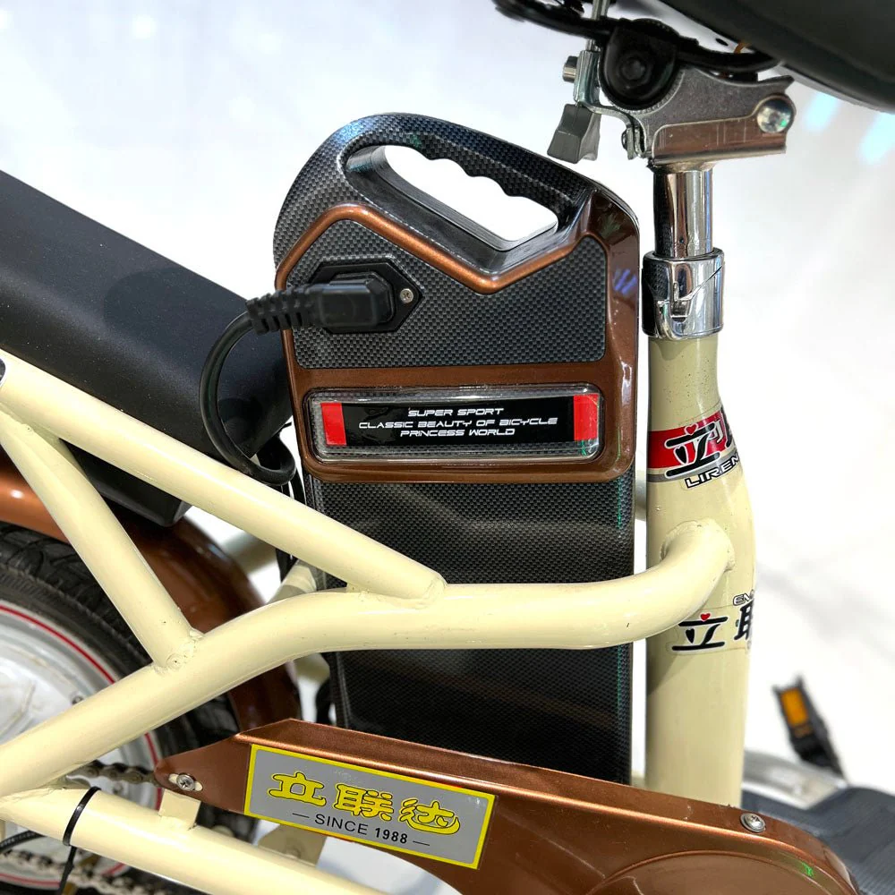 CRONY T8 Electric Delivery express Bicycle electrical scooter 12 inch 48v 10Ah electric bike - Image 24