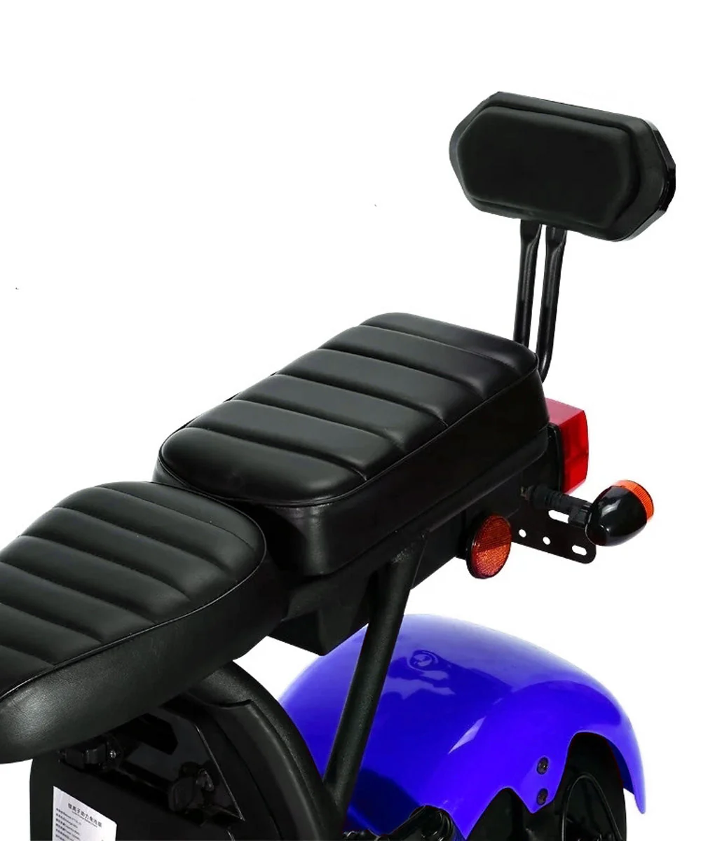 CRONY G-029 3000W Electric Motorcycle Motorbike High Speed Harley tyre Double Seat with double battery | Blue - Image 4