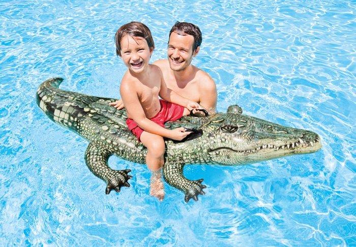 Realistic Gator -12 Tricky toys Intex Realistic Gator Ride-one, Age 3+ Multi-color 6x67x34 inches - Image 4