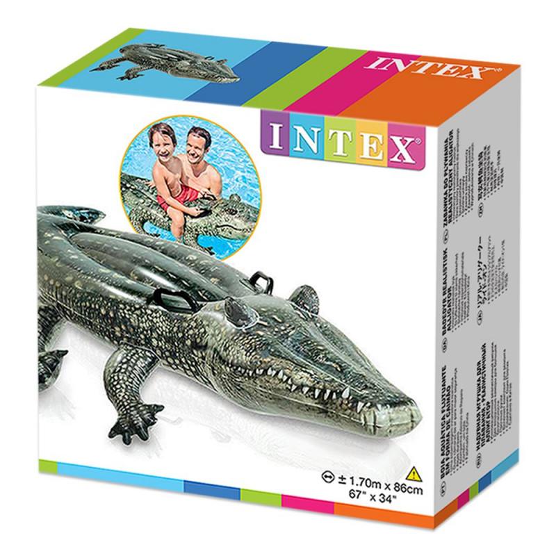 Realistic Gator -12 Tricky toys Intex Realistic Gator Ride-one, Age 3+ Multi-color 6x67x34 inches - Image 5