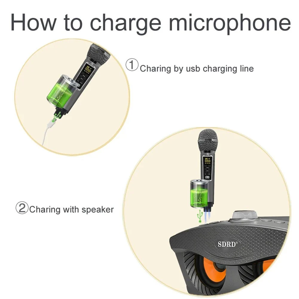 SDRD SD306 Plus 30W Karaoke Player Dual bluetooth 4.2 Speaker Family KTV Stereo Mic Big Sound Speaker with 2 Wireless Microphones | Gold - Image 8