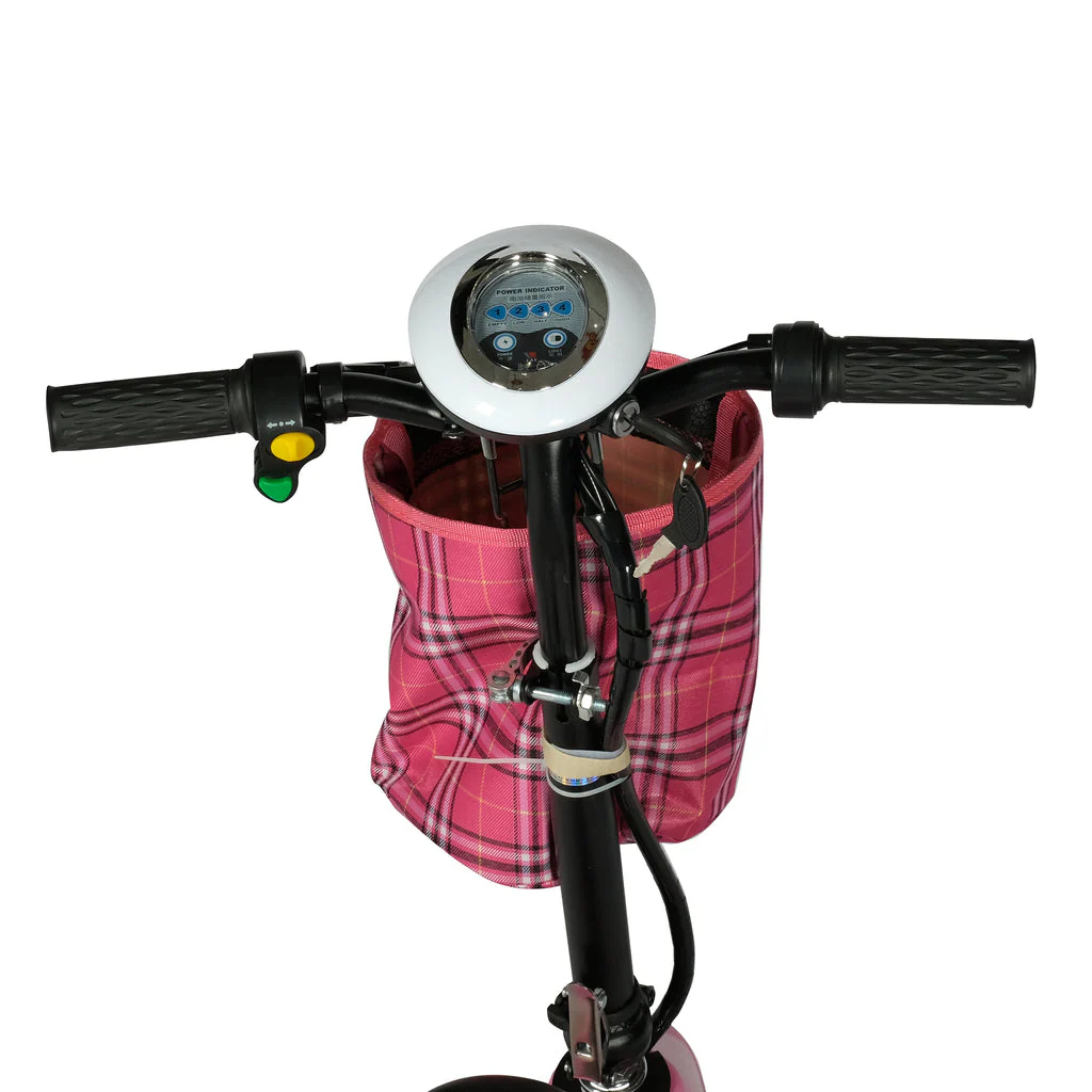 W5 motorcycle electric bike 180W 25V electric motorcycle Electric Bicycles - Image 5